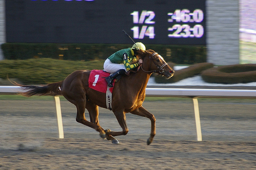 4164454369_2250275b9f.jpg