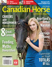 Item31CanadianHorse.JPG