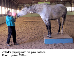 winnie_balloon.jpg
