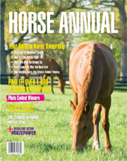 Annual_10_cover_copy.jpg