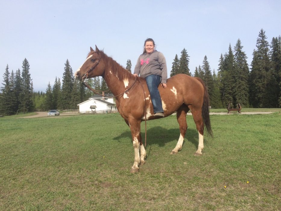 Big Strong Gelding!! British Columbia Canada Horses for Sale