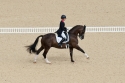 Photography---Equestrian