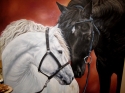 Perfect-Pet-Portraits--Fine-Art-by-Stephanie-Carrera