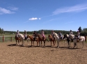 Horse-Riding-Stable-For-Sale-in-Central-Alberta