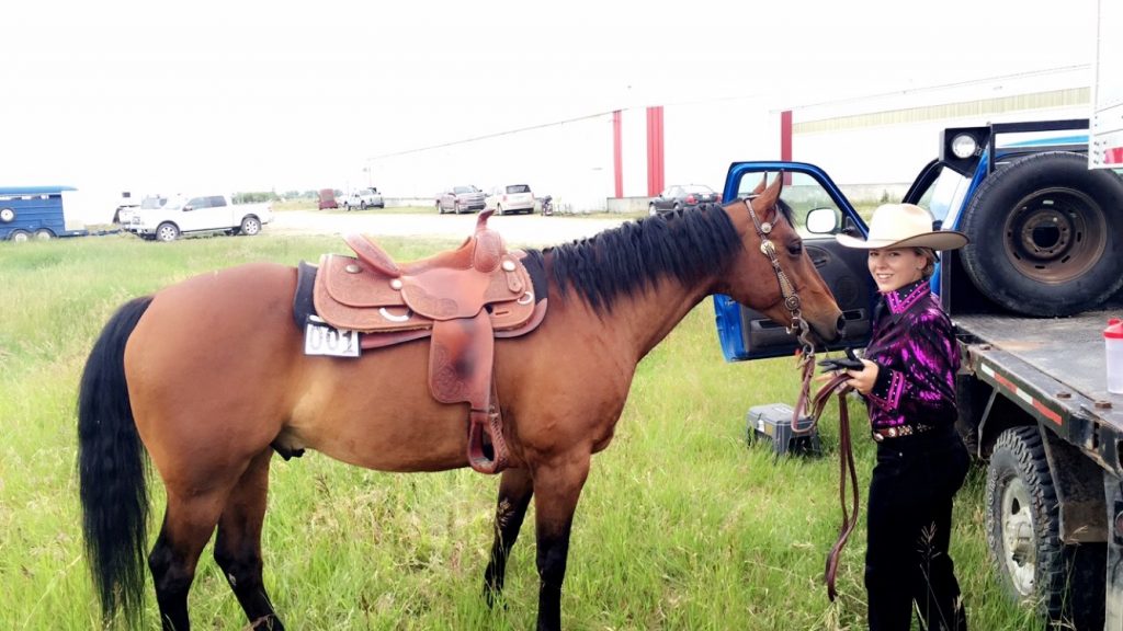 Show Ad Horse Canada Horses for Sale Canada Alberta